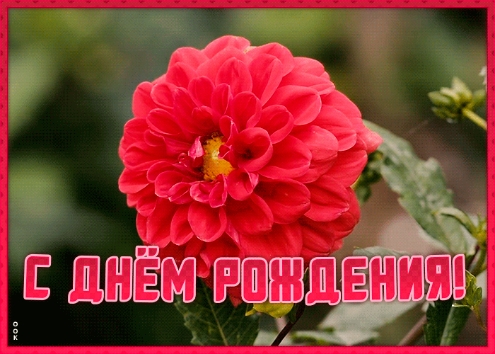 Открытка поздравление с днем рождения подруге Открытка поздравление с днем рождения подруге