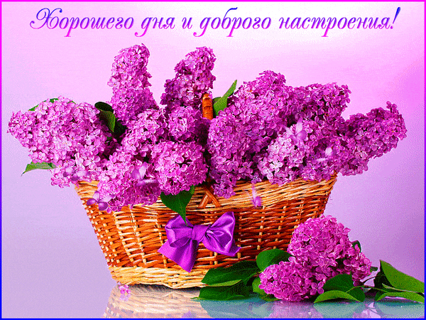 Анимированная картинка с корзинкой сирени с пожеланием хорошего дня и доброго настроения!