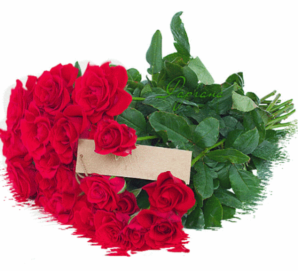 Гиф картинка букет красных роз отражается в воде