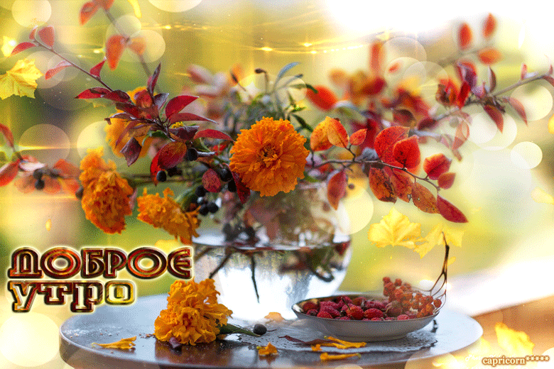 Красивая гифка с добрым осенним утром в Сентябре Красивая гифка с добрым осенним утром в Сентябре