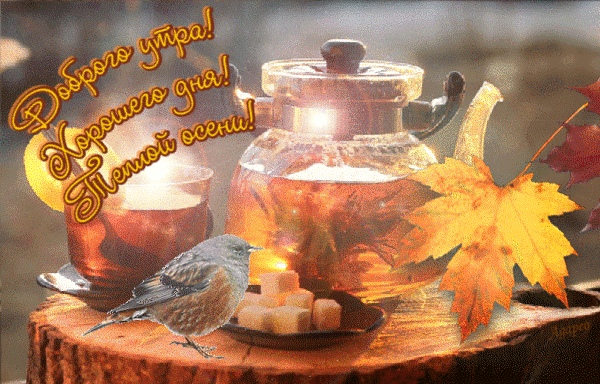 С добрым осенним утром анимашки С добрым осенним утром анимашки