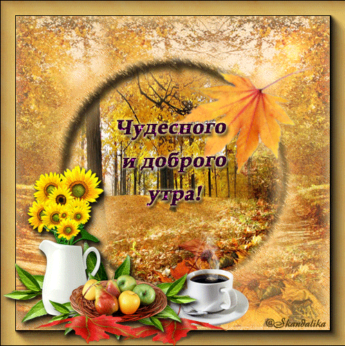 Гифы (анимация) с добрым утром сентября! Гифы (анимация) с добрым утром сентября!