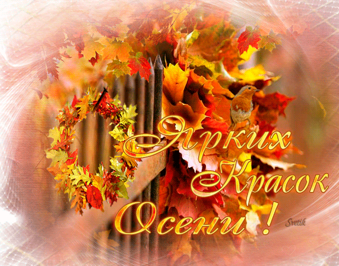 Яркой и теплой осени гиф
