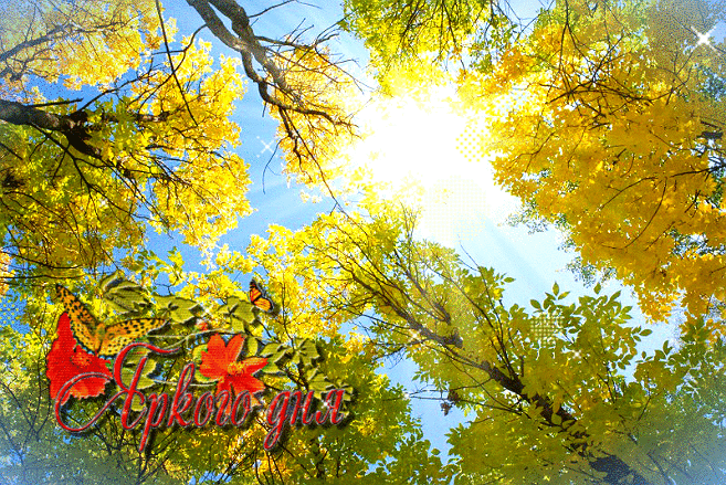Гиф с добрым солнечным днем осенним. Анимации осеннего солнечного дня.