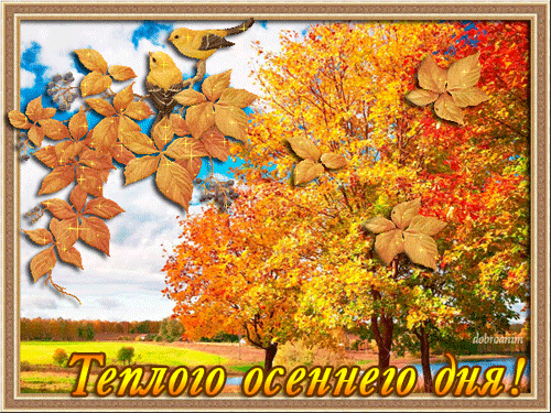 Гиф открытка Доброго теплого осеннего дня