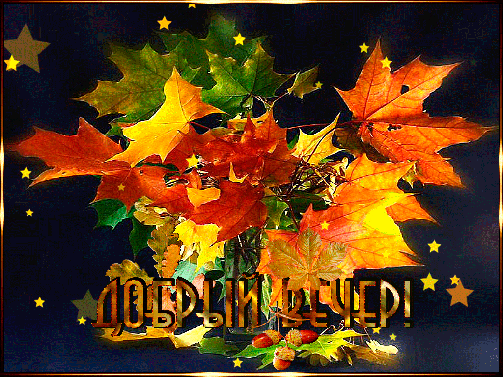 Добрый вечер картинки красивые анимация Добрый вечер картинки красивые анимация