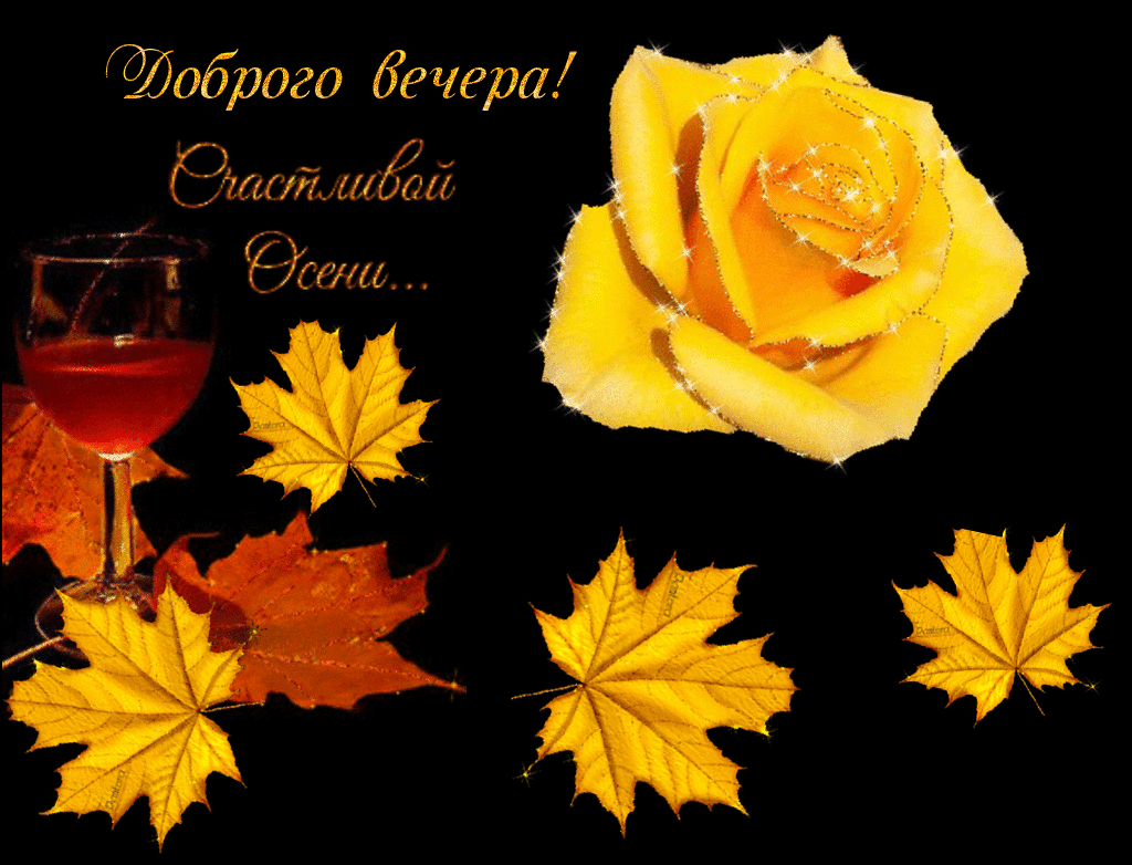 Доброго, осеннего вечера прикольная картинка для мужчины. Доброго, осеннего вечера прикольная картинка для мужчины.