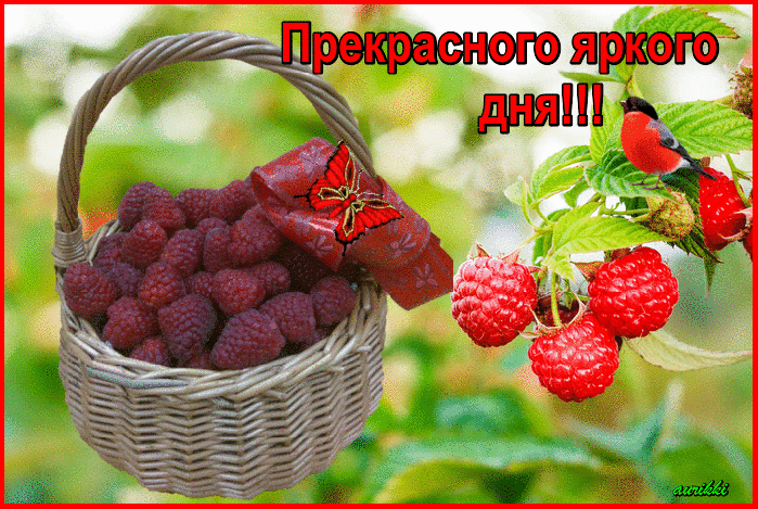 Летняя гифка с пожеланием прекрасного яркого Июльского дня!