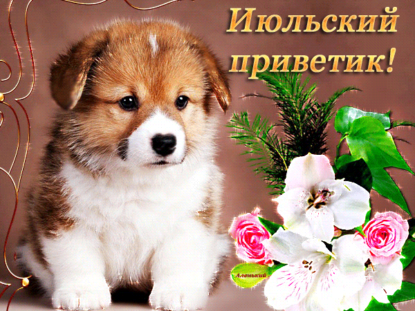 Красивая анимированная картинка Июльский приветик с пёсиком и цветами!