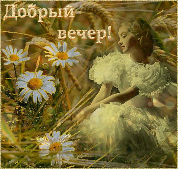 Красивая гифка доброго Июльского вечера с ромашками!