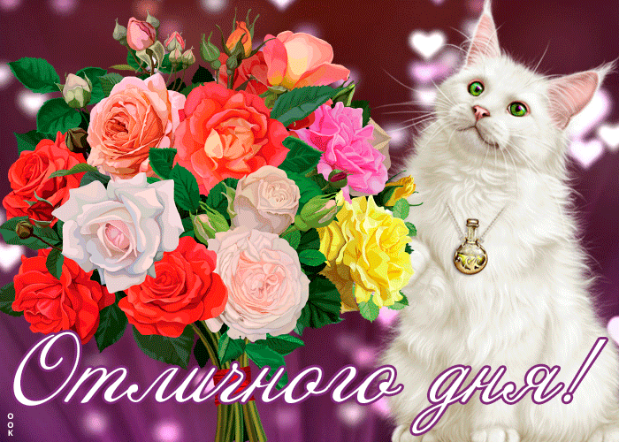 Приятная gif картинка с пожеланием отличного и чудесного дня Приятная gif картинка с пожеланием отличного и чудесного дня