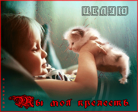 Гиф картинка Маленькая девочка играет с котёнком, посылает ему воздушный поцелуй. Для котёнка она самая лучшая, просто прелесть. Гиф картинка Маленькая девочка играет с котёнком, посылает ему воздушный поцелуй. Для котёнка она самая лучшая, просто прелесть.