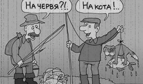 Gif картинка рыбалка на кота Gif картинка рыбалка на кота