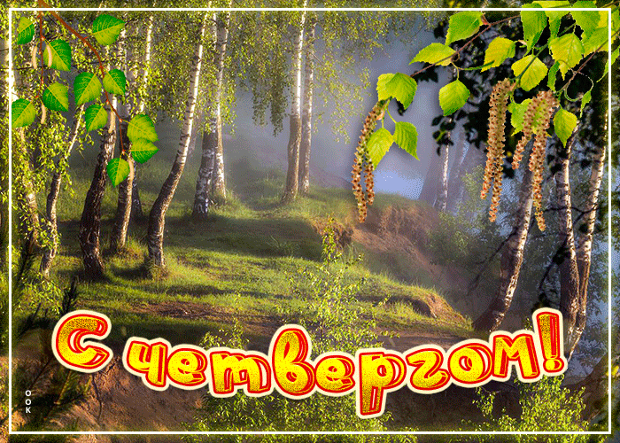 Приятная летняя gif открытка с четвергом, берёзовая роща! Приятная летняя gif открытка с четвергом, берёзовая роща!