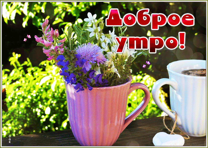 Доброе утро картинки позитивные жизнеутверждающие Доброе утро картинки позитивные жизнеутверждающие