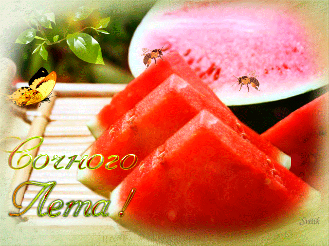 Гифы с добрым утром августа. Гифы с добрым утром августа.