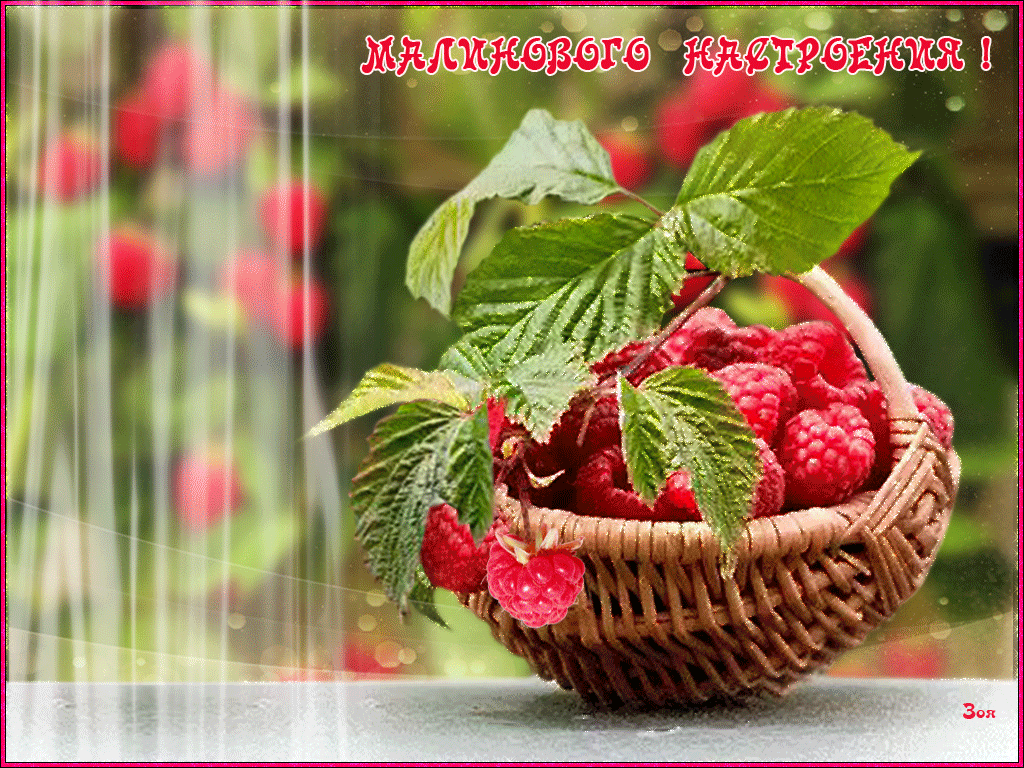 Летнего настроения пожелания Летнего настроения пожелания