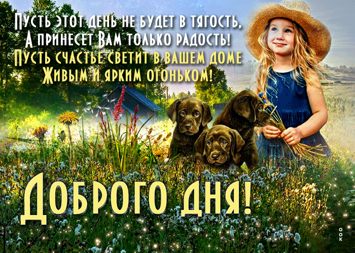 Гиф Открытка добрый день с щеночками Гиф Открытка добрый день с щеночками