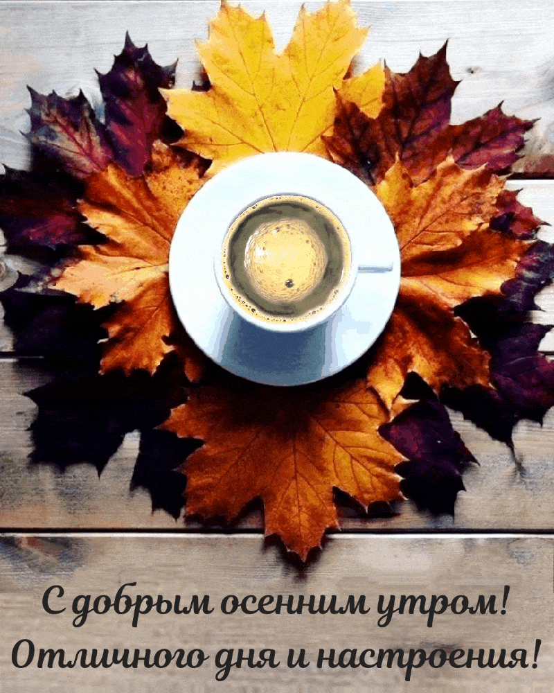 Пожелания с добрым осенним утром красивая гиф анимация