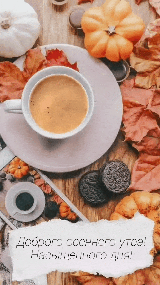 Гифки с добрым утром осенние красивые