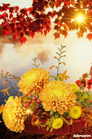 Анимированный букет осенних цветов, Осенние цветы гифы Анимированный букет осенних цветов, Осенние цветы гифы