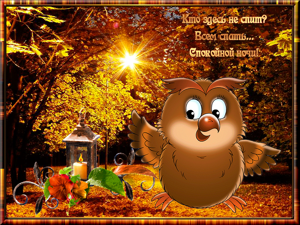 Доброй осенней ночи, Спокойной ночи анимация gif картинка!