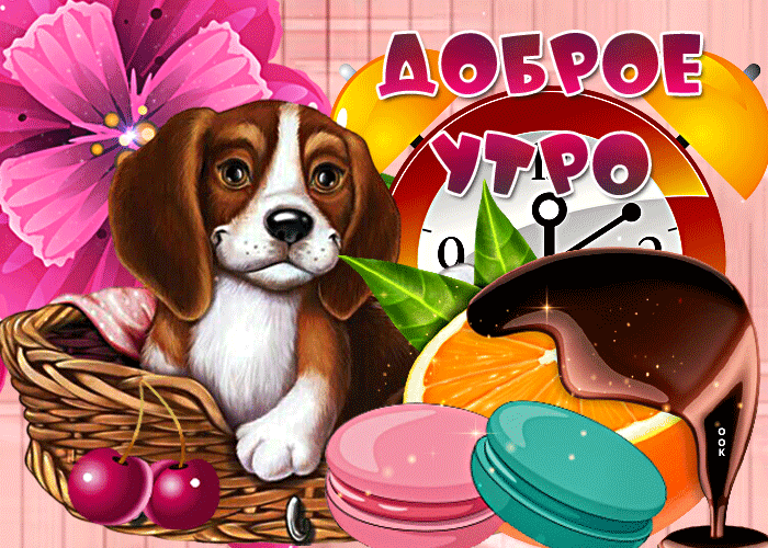 Яркая анимационная открытка доброе утро с собачкой