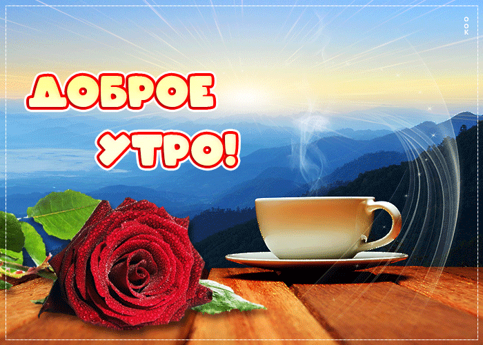 Открытка доброе утро с красной розой, очень красивая!