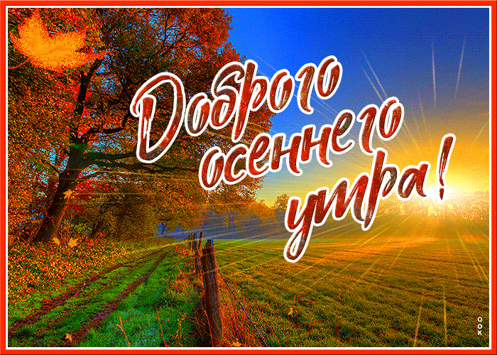 Красивая открытка с добрым осенним утром