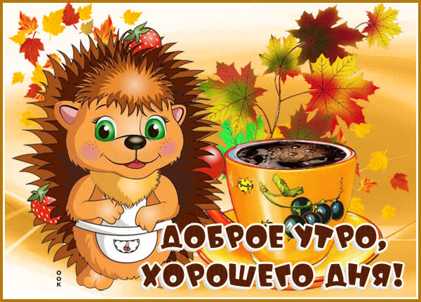 Красивая осенняя картинка доброе утро, хорошего дня Красивая осенняя картинка доброе утро, хорошего дня