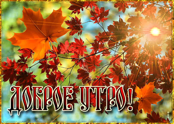 Картинка доброе утро с осенним деревом Картинка доброе утро с осенним деревом