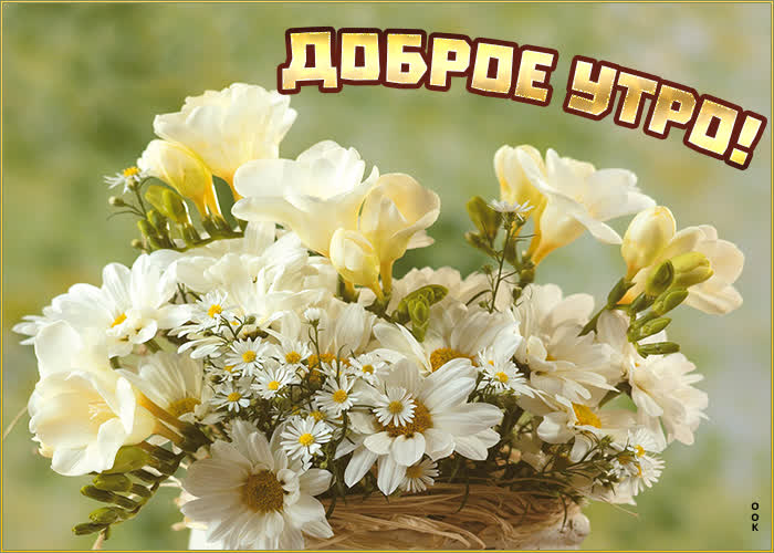 Позитивная картинка доброе утро с белыми цветами Позитивная картинка доброе утро с белыми цветами