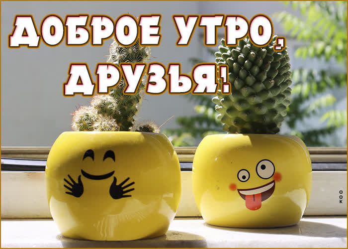 Веселая картинка с добрым утром друзьям Веселая картинка с добрым утром друзьям