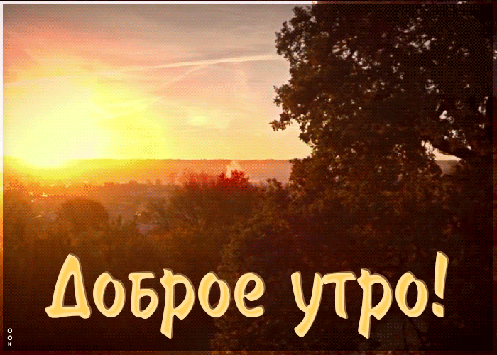 Чудесная открытка, картинка доброе утро с красивой природой! Чудесная открытка, картинка доброе утро с красивой природой!