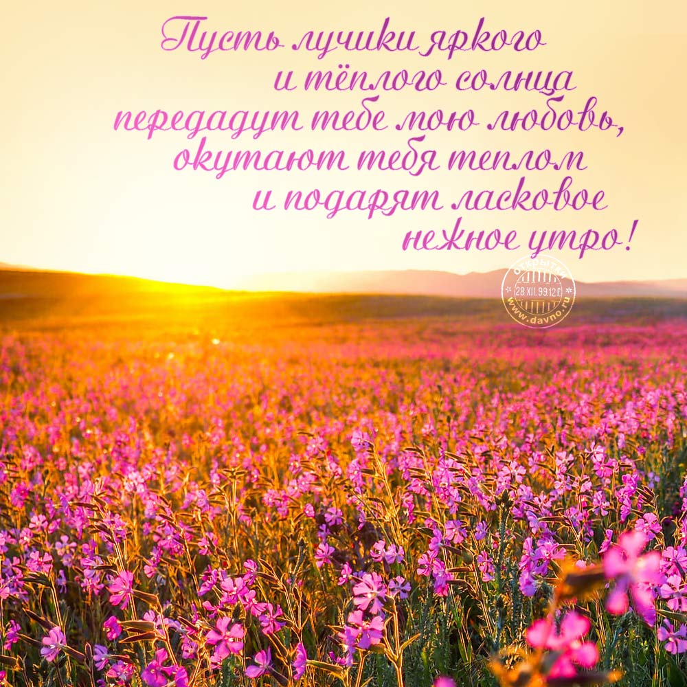 Замечательная коллекция картинок и открыток с добрым сентябрьским утром... Позитивные пожелания с добрым утром Замечательная коллекция картинок и открыток с добрым сентябрьским утром... Позитивные пожелания с добрым утром