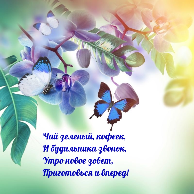 Позитивное поздравление с добрым утром в стихах! Позитивное поздравление с добрым утром в стихах!