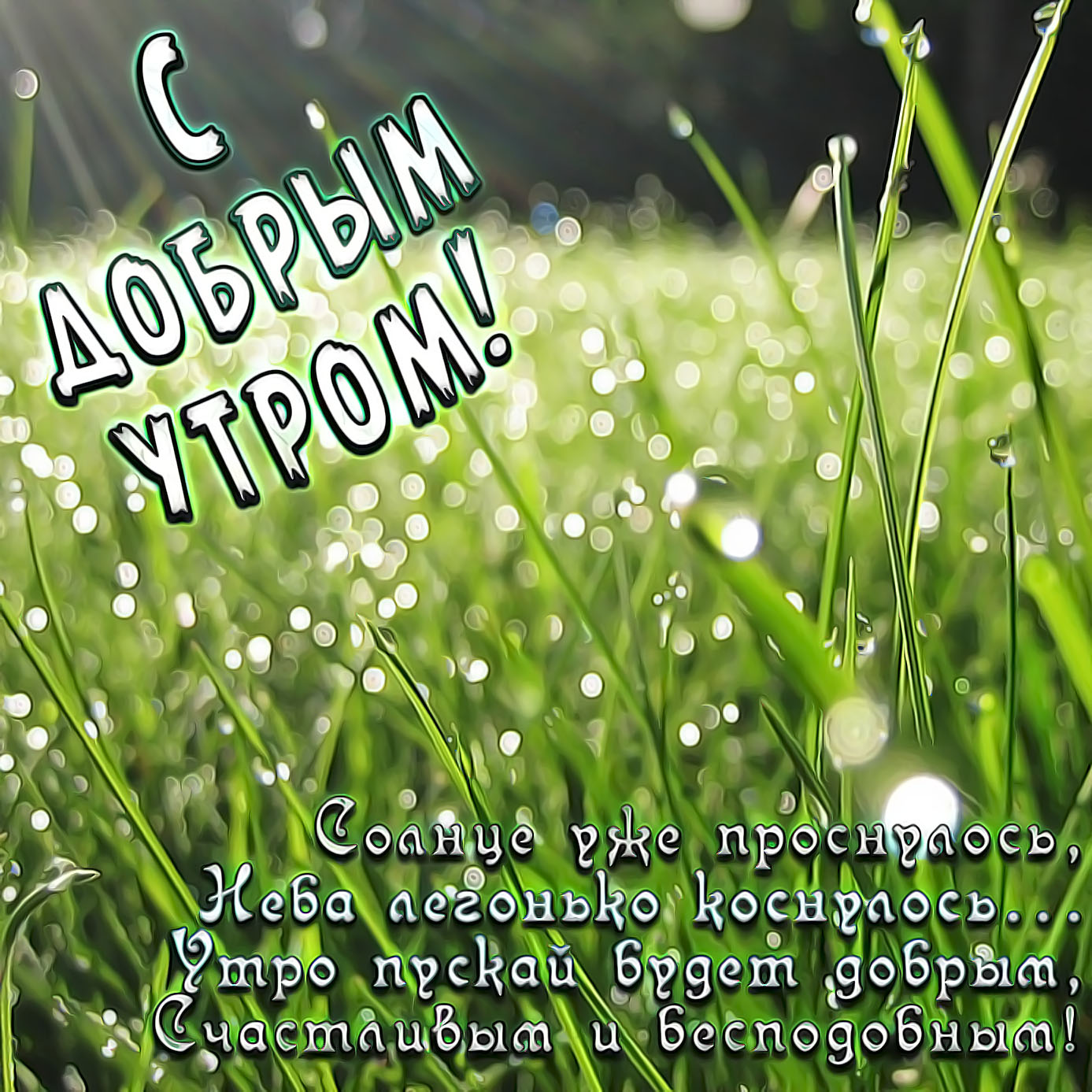 Поздравления с добрым летним утром Поздравления с добрым летним утром