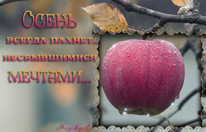 Гифка осенние стихи Осень всегда пахнет… Гифка осенние стихи Осень всегда пахнет…