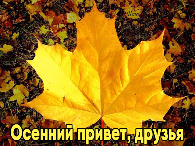 Гиф картинка Осенний привет, друзья Гиф картинка Осенний привет, друзья