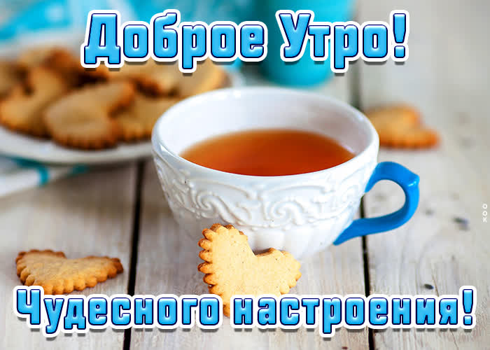 Очень красивая Картинка доброе утро и чудесного настроения Очень красивая Картинка доброе утро и чудесного настроения