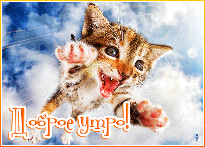 Очень классная анимационная открытка доброе утро с котёнком! Очень классная анимационная открытка доброе утро с котёнком!