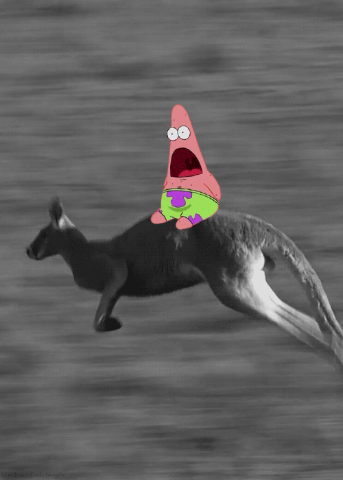  Смешные гиф анимации