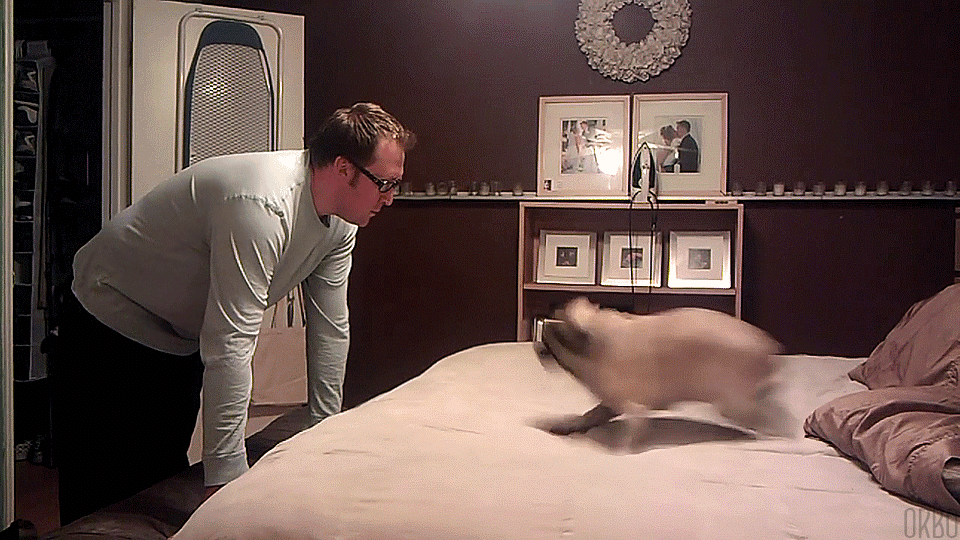 Прикольные gif, Смешная гифка, Прикольные гифки ржачные