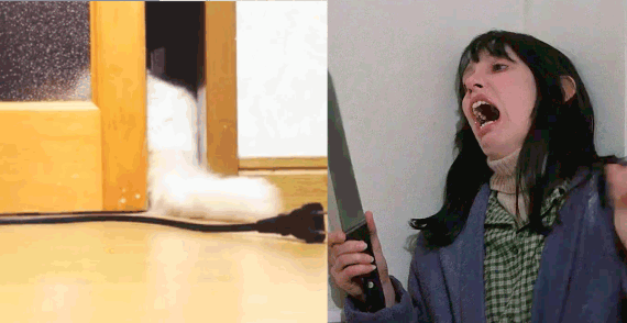 Очень смешная гифка с котом