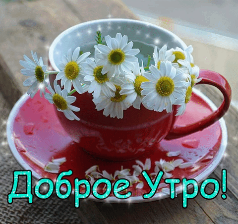 Блестящая и мерцающая открытка доброе утро с ромашками для ватсап!