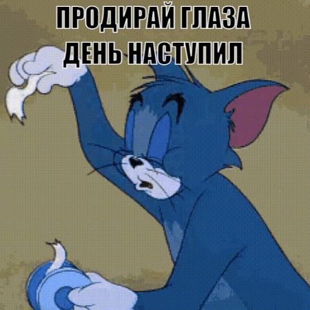 Очень смешная гифка с добрым утром для ватсап! Продирай глаза день уже наступил!