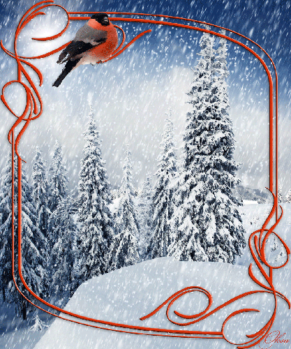  Гифка красивая зима с падающим снегом и красный снегирь-зима gif! 