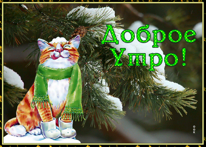 Чудесная открытка доброе зимнее утро с котиком Чудесная открытка доброе зимнее утро с котиком