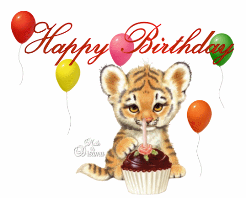 Милая gif анимация Тигрёнок поздравляет с днем рождения Милая gif анимация Тигрёнок поздравляет с днем рождения