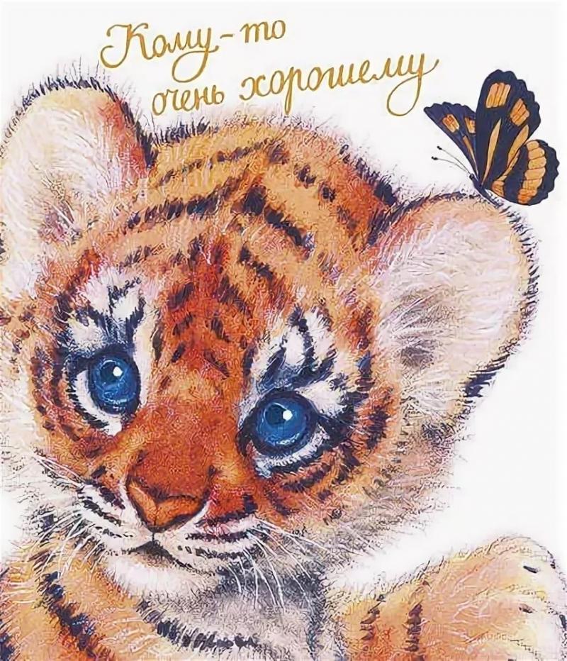 Тигрёнок, поздравляю с Днём Рождения! Тигрёнок, поздравляю с Днём Рождения!